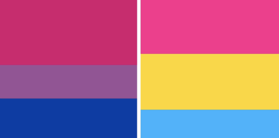 Just Being Different—The bisexual flag (left) was created in 1998 by designer Michael Page. It wasn’t until 2010 when the pansexual flag (right) emerged. An LGBTQ+ activist online sought to create a flag that was consistent with other pride flags and allowed pansexuals to differentiate from bisexuals.