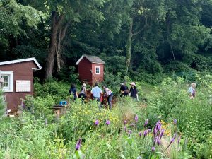 Blooming Into Our Futures: The 2023 ReWild Long Island Summer Program