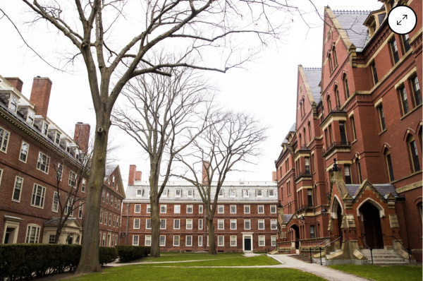 Harvard University campus in Cambridge, Massachusetts