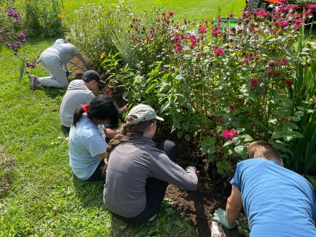 Sowing Brighter Futures—High School volunteers for ReWild Long Island’s Summer Program to Fight Hunger & Climate Change gather weekly over the summer at various locations to help maintain local native plant gardens.